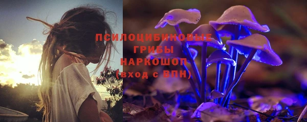 дурь Алексеевка