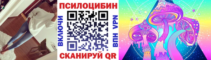 где найти Борзя Галлюциногенные грибы мицелий