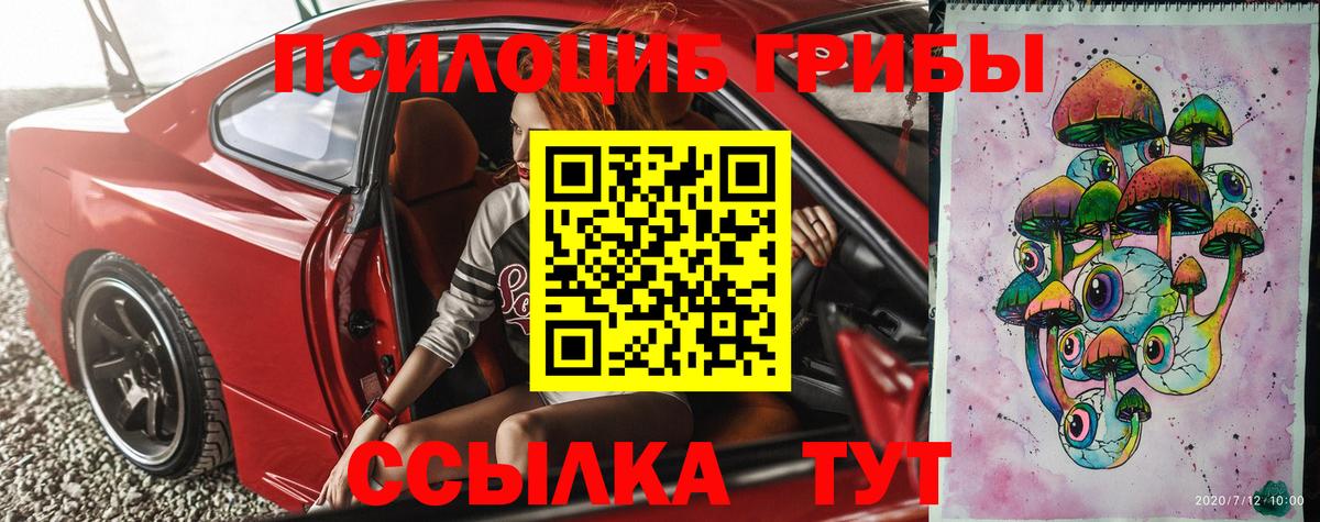 Псилоцибиновые грибы Magic Shrooms  Вход с VPN  где купить   Борзя 