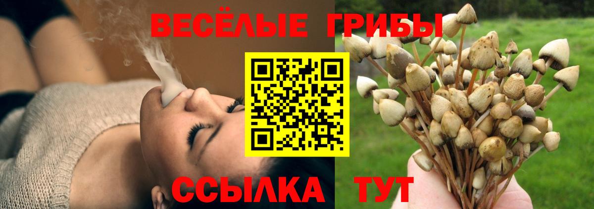 Галлюциногенные грибы мицелий Борзя